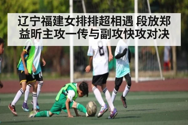 辽宁福建女排排超相遇 段放郑益昕主攻一传与副攻快攻对决